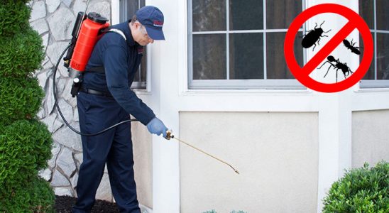 Atakent Gümüşkurt İlaçlama böcek ilaçlama ve haşere kontrolü — ilaclama-tr.com